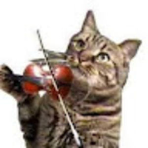 Meet your Posher, Jonas